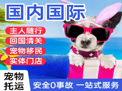 北海福成机场快运国际宠物托运 【国